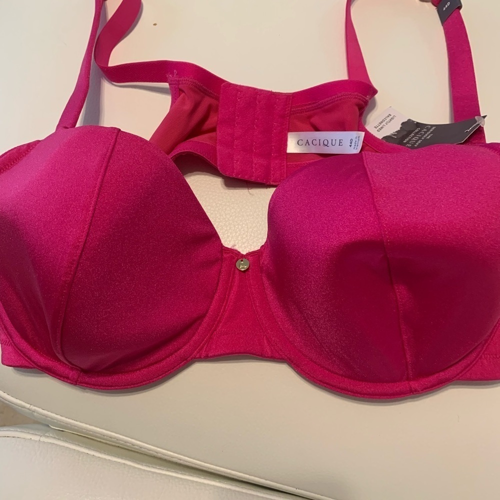 Cacique Women's‎ Vibrant Fuchsia Bra